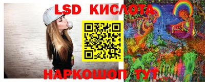 индика Обнинск