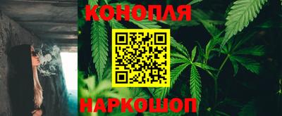 индика Обнинск