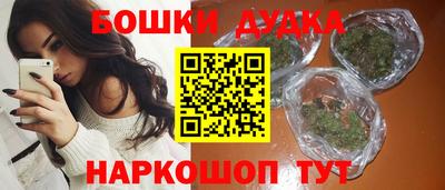 индика Обнинск
